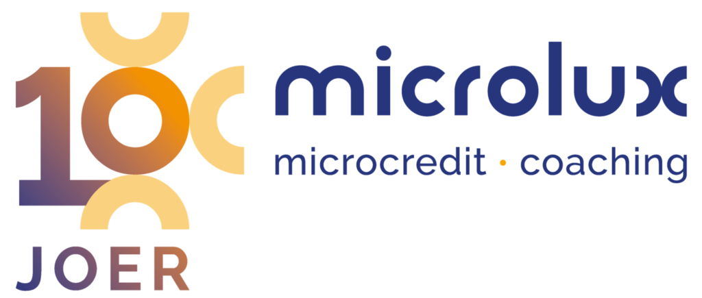 Logo 10 ans de microlux